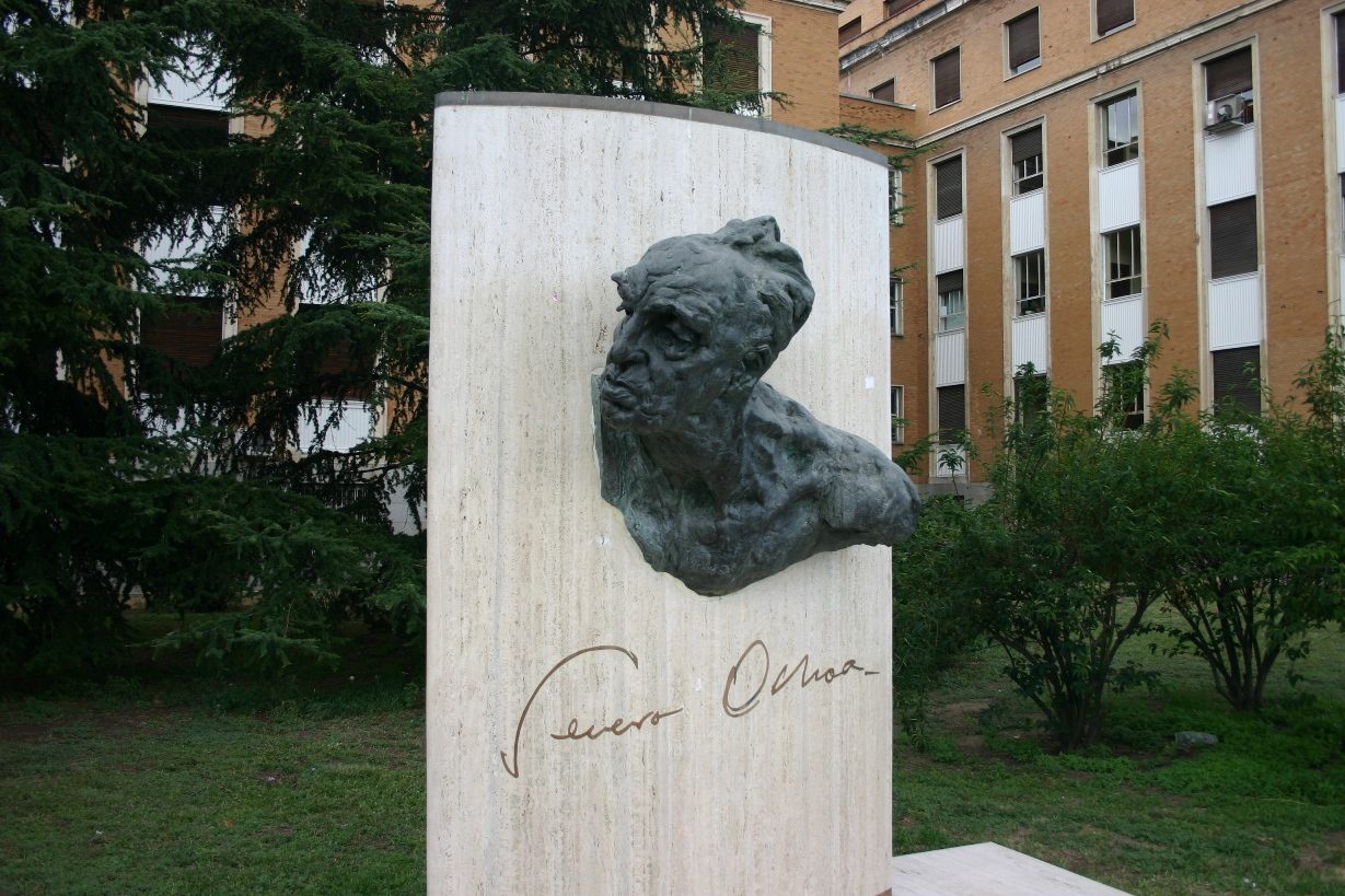 Severo Ochoa's monument, Facultad de Medicina, Universidad Complutense, Madrid - 03.JPG